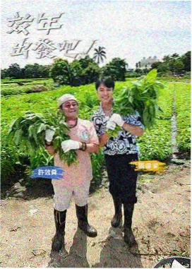 国产精品第一区画质基准说明配图
